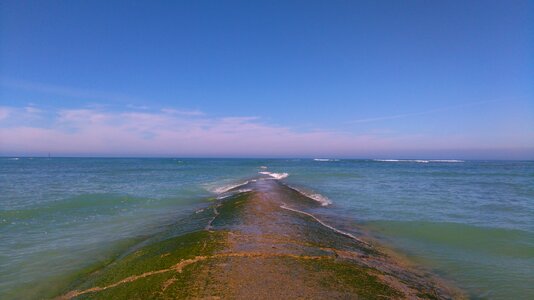 Island isle of rhe western coast