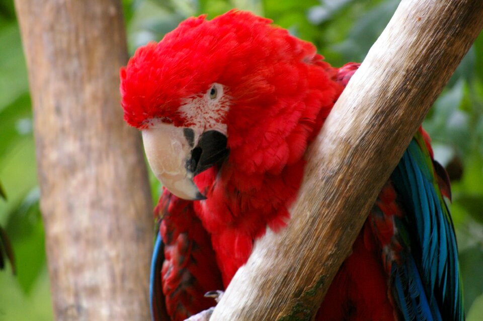 Water park animal park