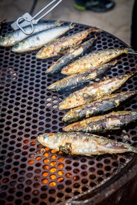 Fire grilled barbecue