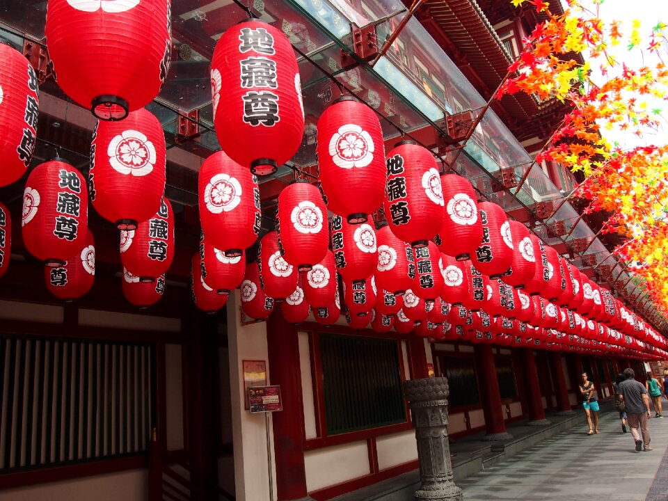 Singapore paper lantern edo
