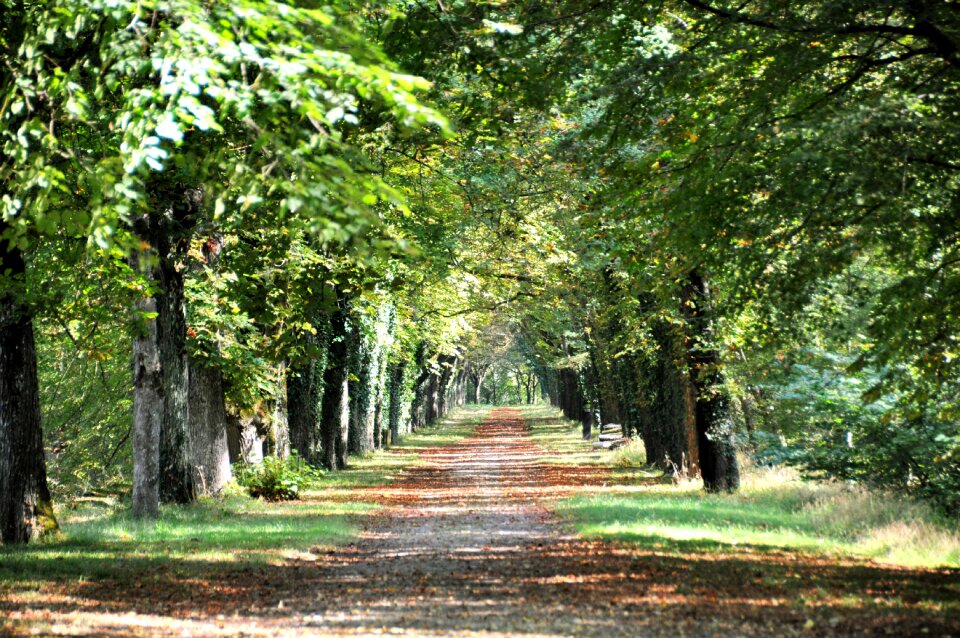 Environment nature park