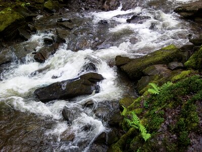 Wales nature conservation melincourt falls