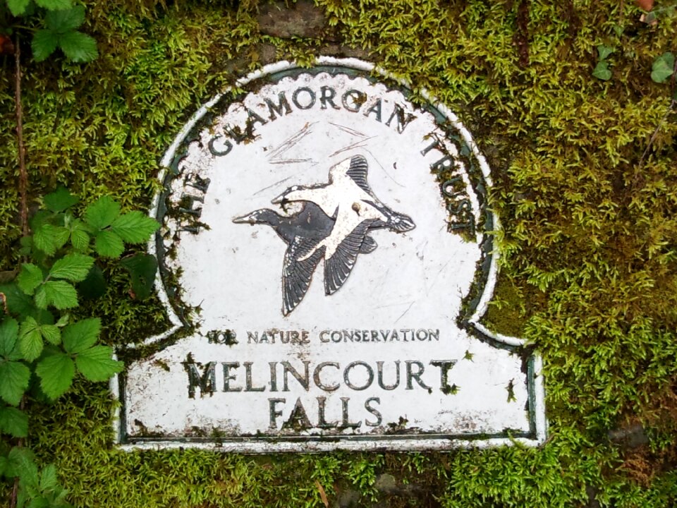 Nature conservation melincourt falls
