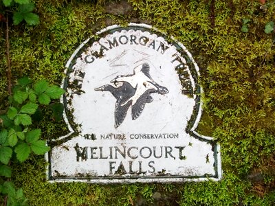 Nature conservation melincourt falls