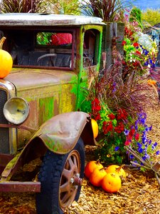 Display decoration