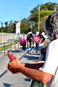 Horses thoroughbred jockey photo