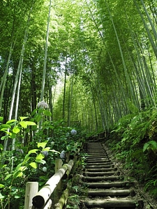 Organic agriculture outdoors