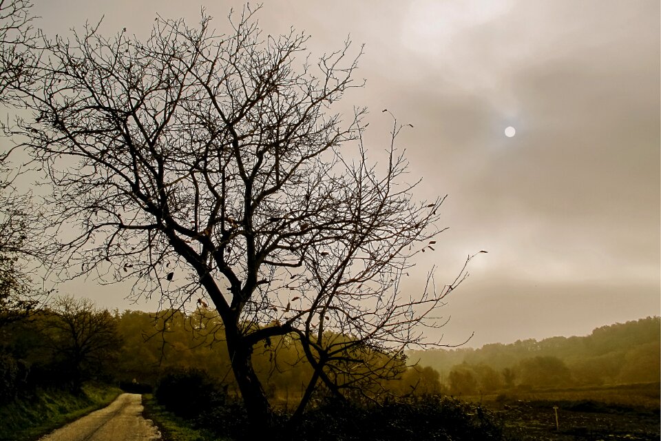 Roman countryside fog mist