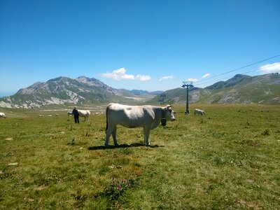 Pasture nature mountain