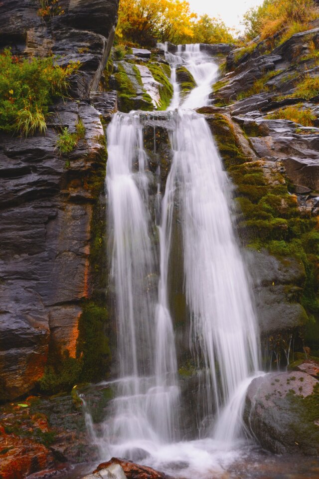 Mountain stream nature