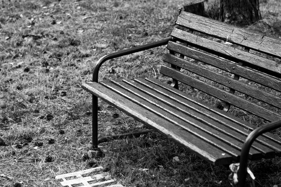 Wooden bench travel path
