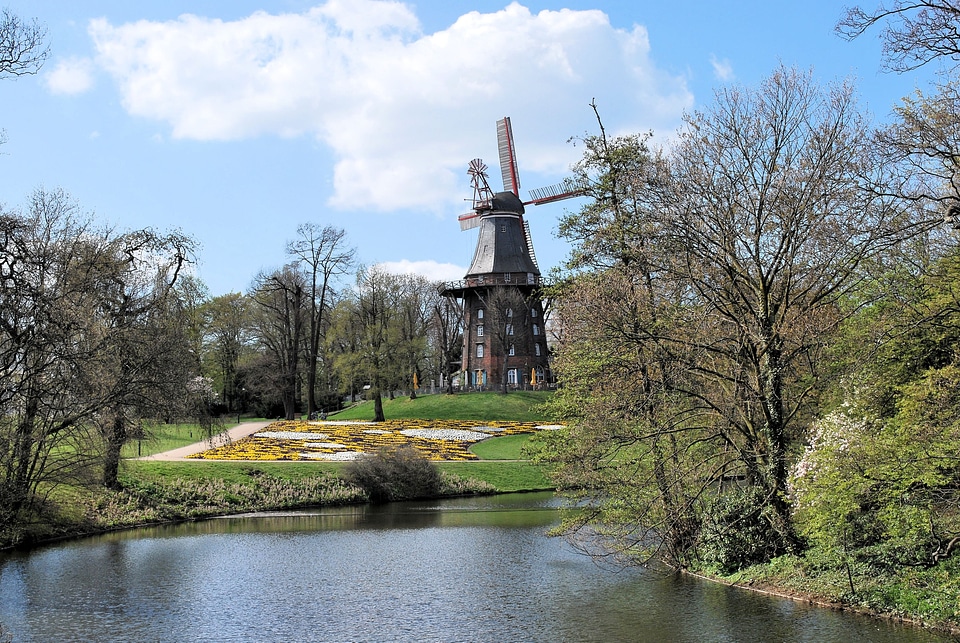 Trees windmill relaxation