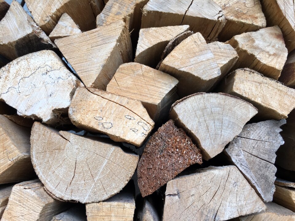 Forest trees structure