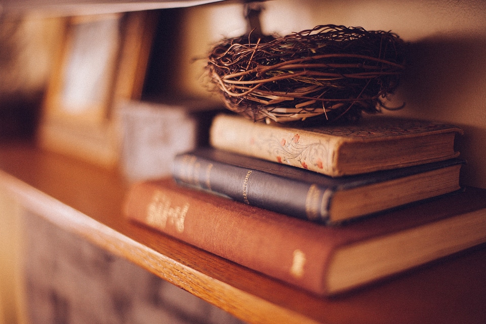 Bird's nest decoration reading