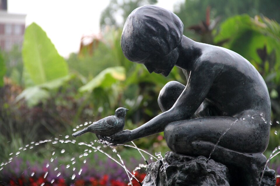 Bird fountain