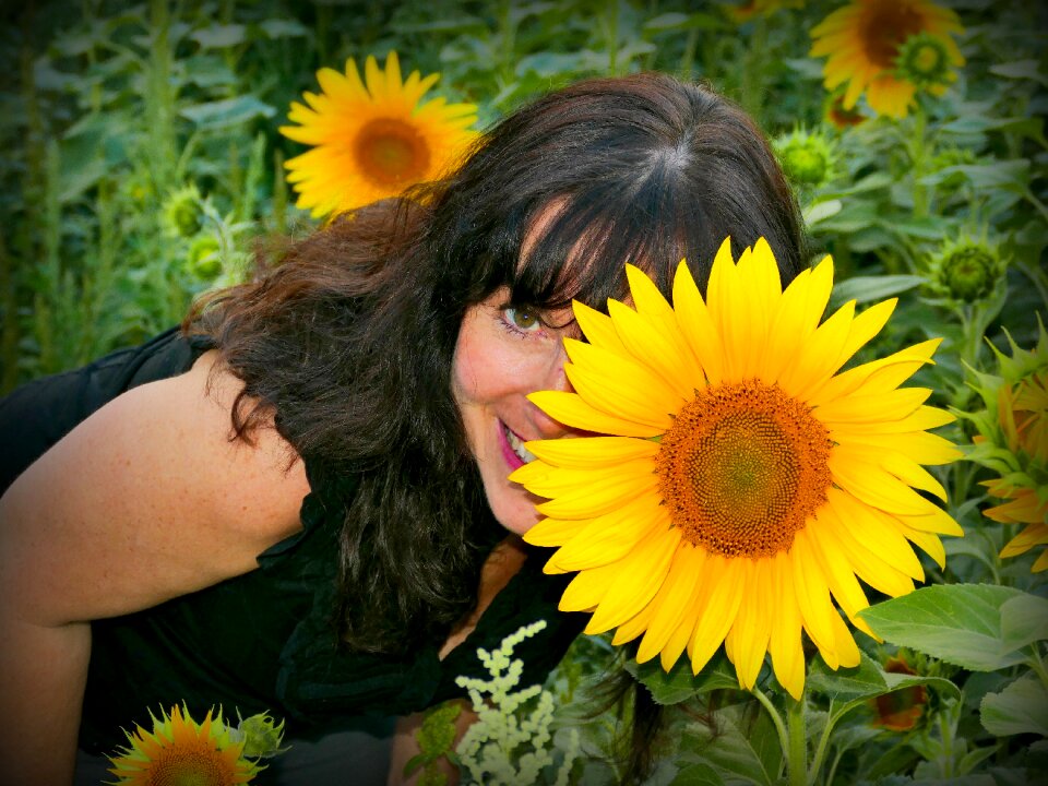 Pretty pose sunflower