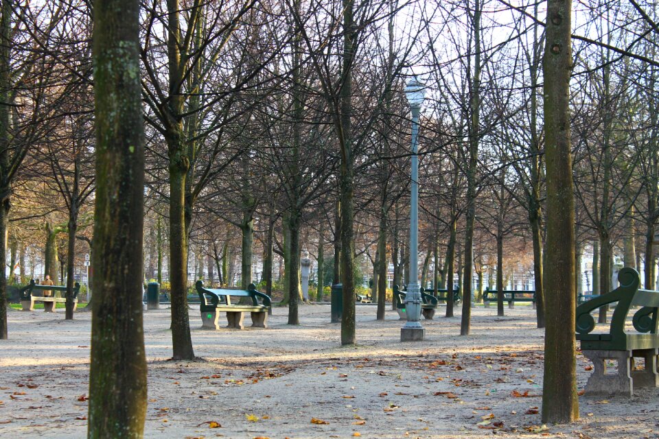 Brussels winter park
