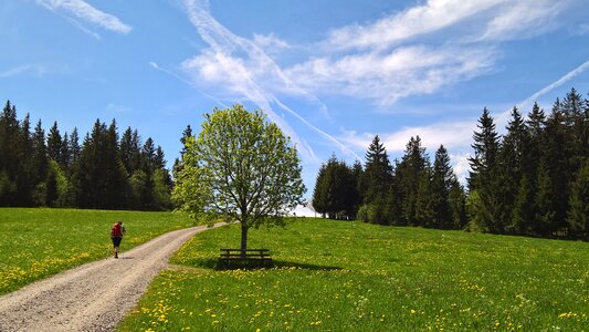 Spring hiking direction