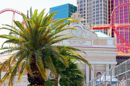 Vegas usa city