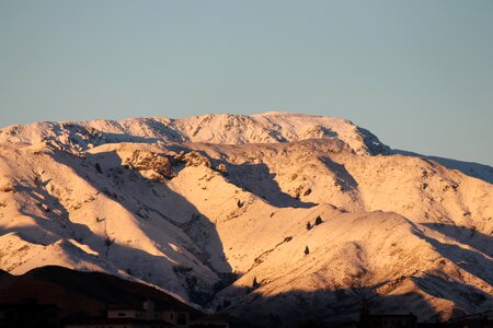Mountain tussock rural