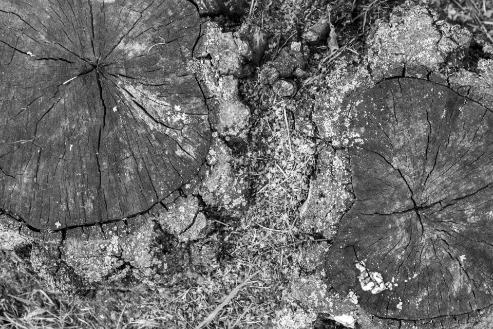 Cracks beauty life
