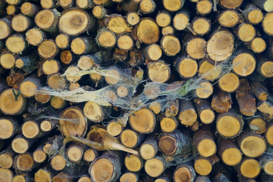 Stacked up brown firewood