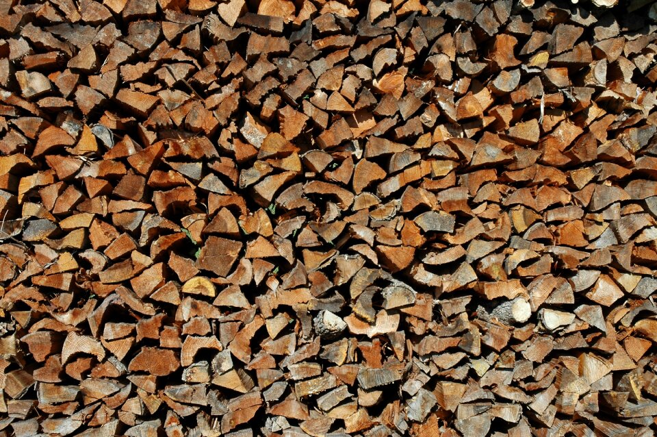 Log stacked up growing stock