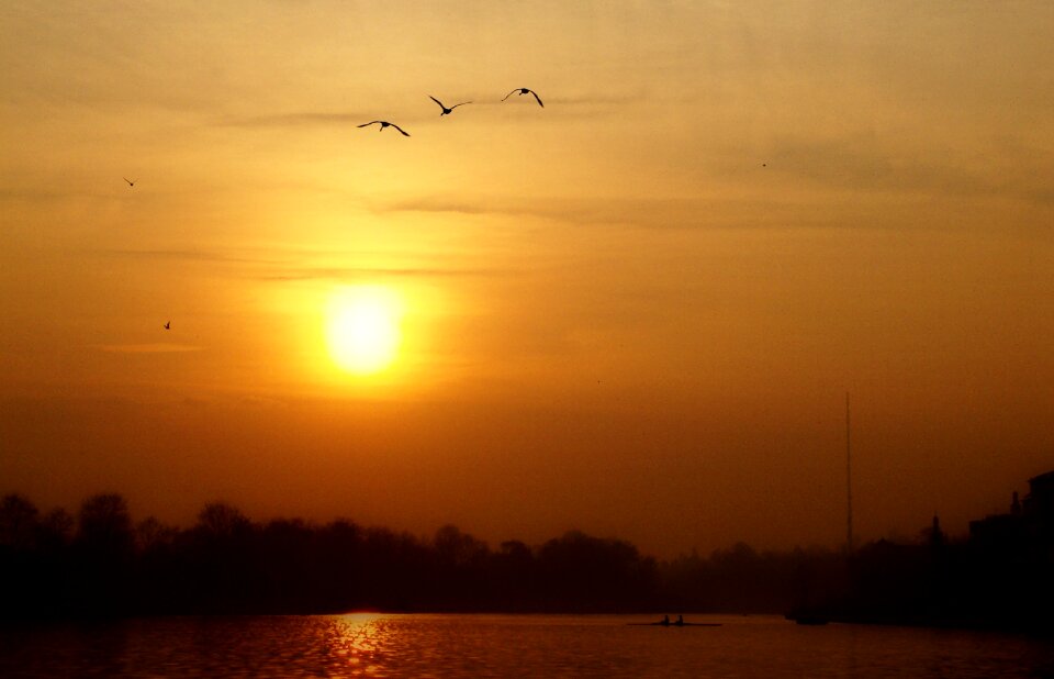 The backlight landscape orange sky