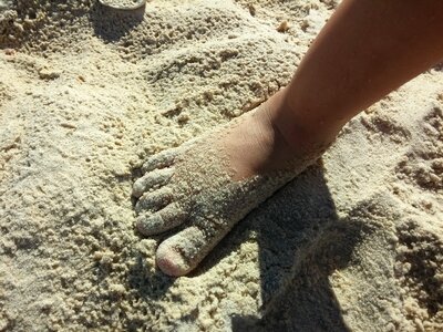 Toes feet photo