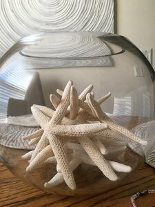 Glass seashore summer