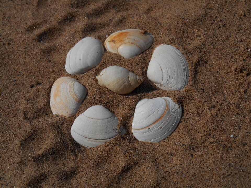 Seaside holiday summer