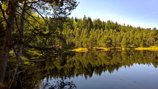 Water germany calm