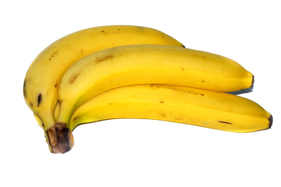 Yellow white isolated
