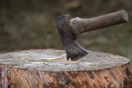 Wood wood stump machete