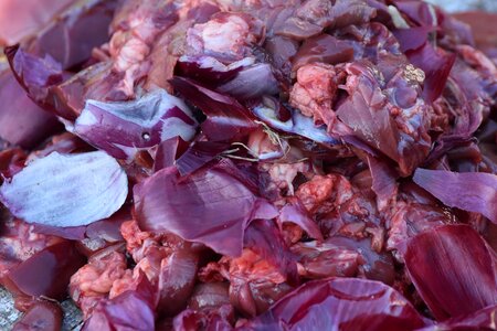 Court food meat
