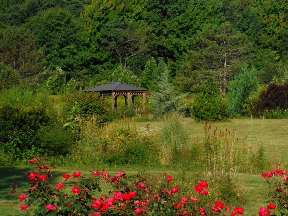 Bloom botanical relax