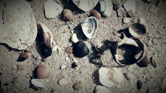 Sand dark