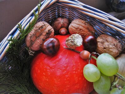 Herbstdeko thanksgiving decoration