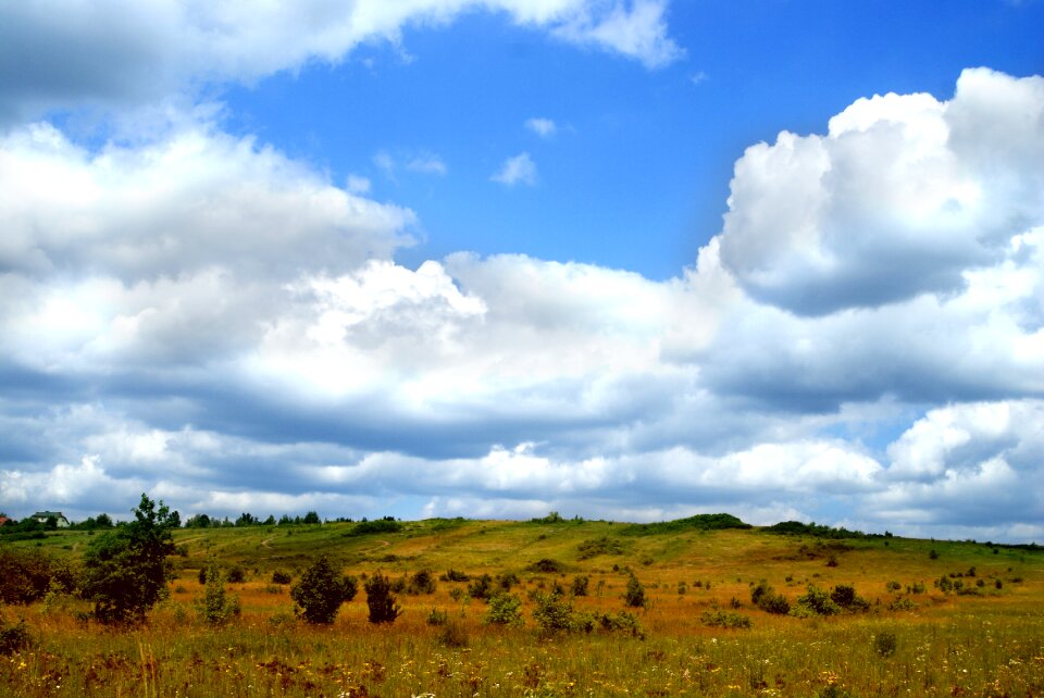 Green the stem landscape