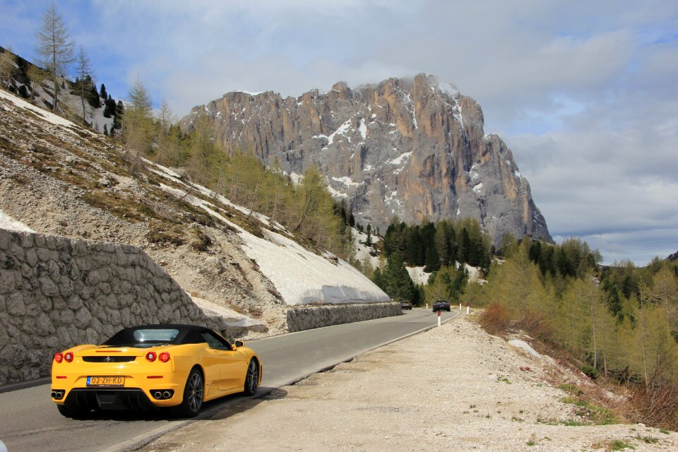 Ferrati ferrari cat