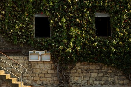 Architecture building facade photo