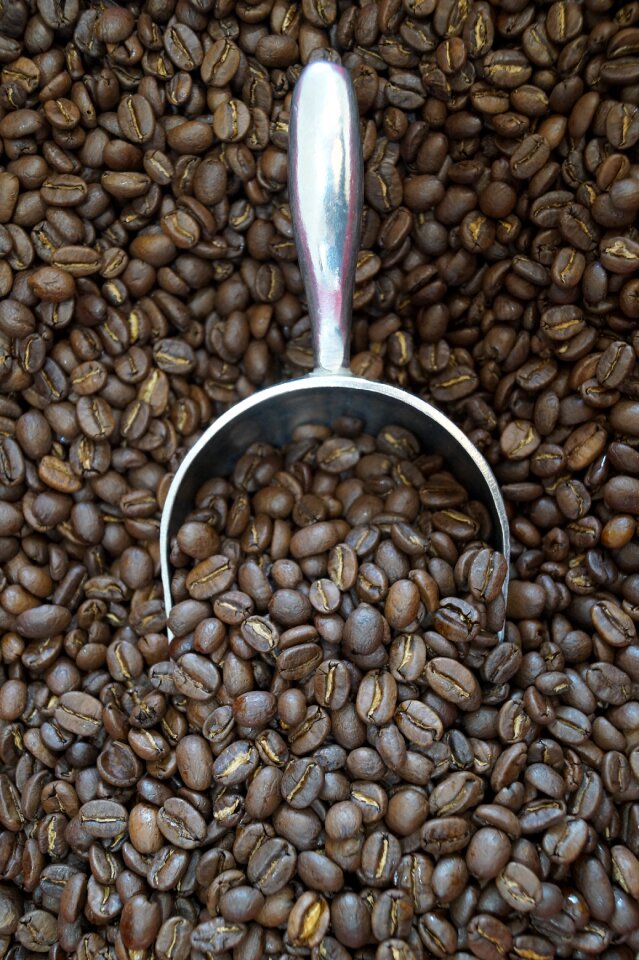 Bean coffee bean coffee