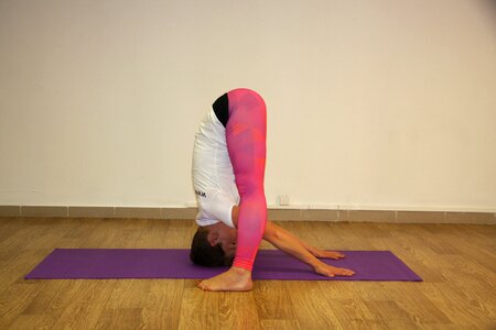 Sports gymnastics pose