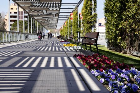 Fashion martorell Free photos