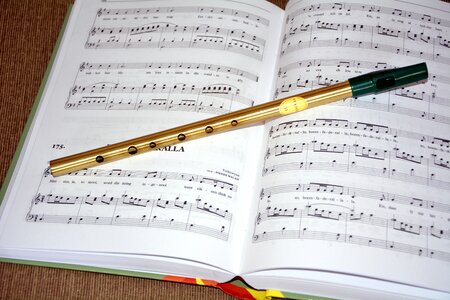 Irish flute music book