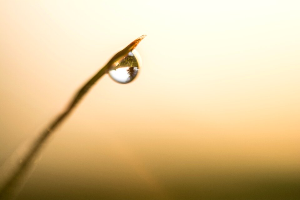 Dof dispersion transmission
