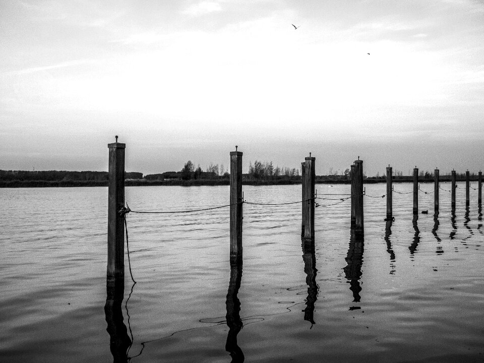 Port nature summer