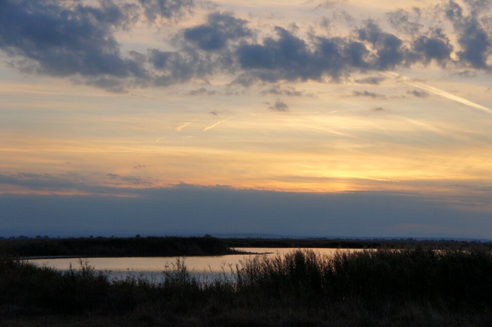 Pannonian lowland burgenland austria