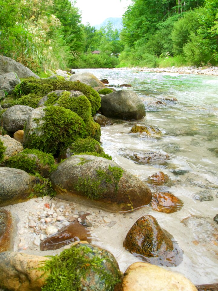 Water white water nature