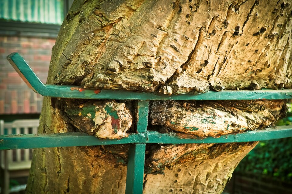 Wood bark garden fence